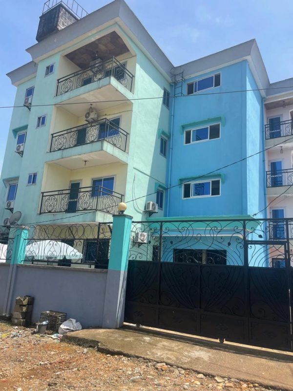 WhatsApp Image 2026-03-31 at 12.08.44